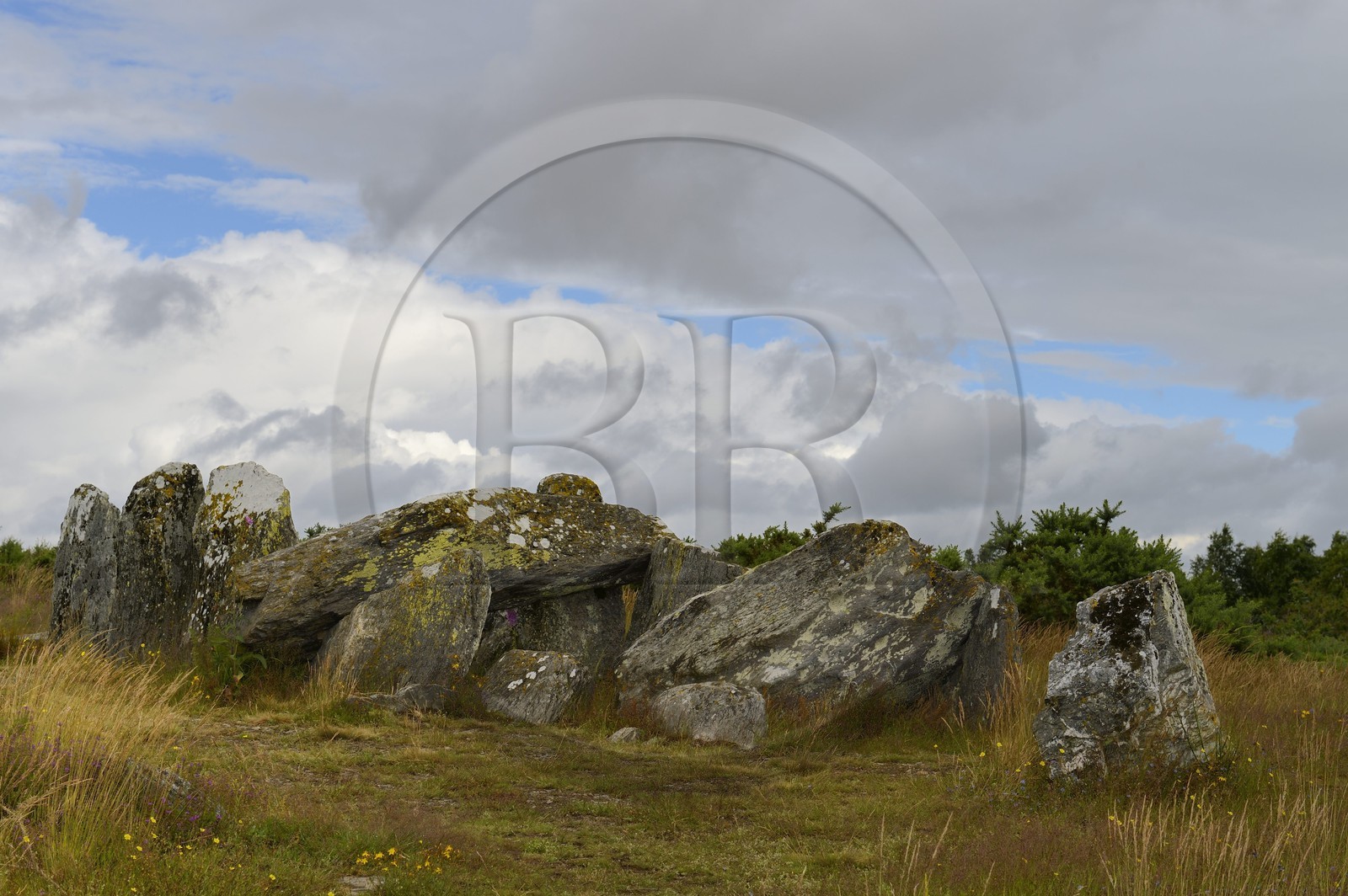France, Ille-et-Vilaine (35), Saint-Just, monuments mégalithiques de la Lande de Cojoux, dolmen, sépulture à entrée latérale du Four Sarrazin