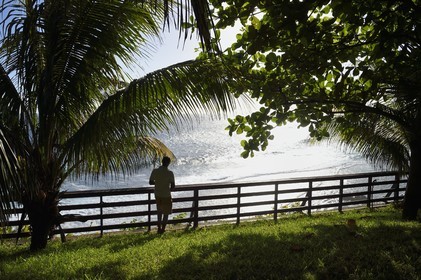 France, Reunion island (French overseas department), Petite-Ile on the southern coast, garden with view