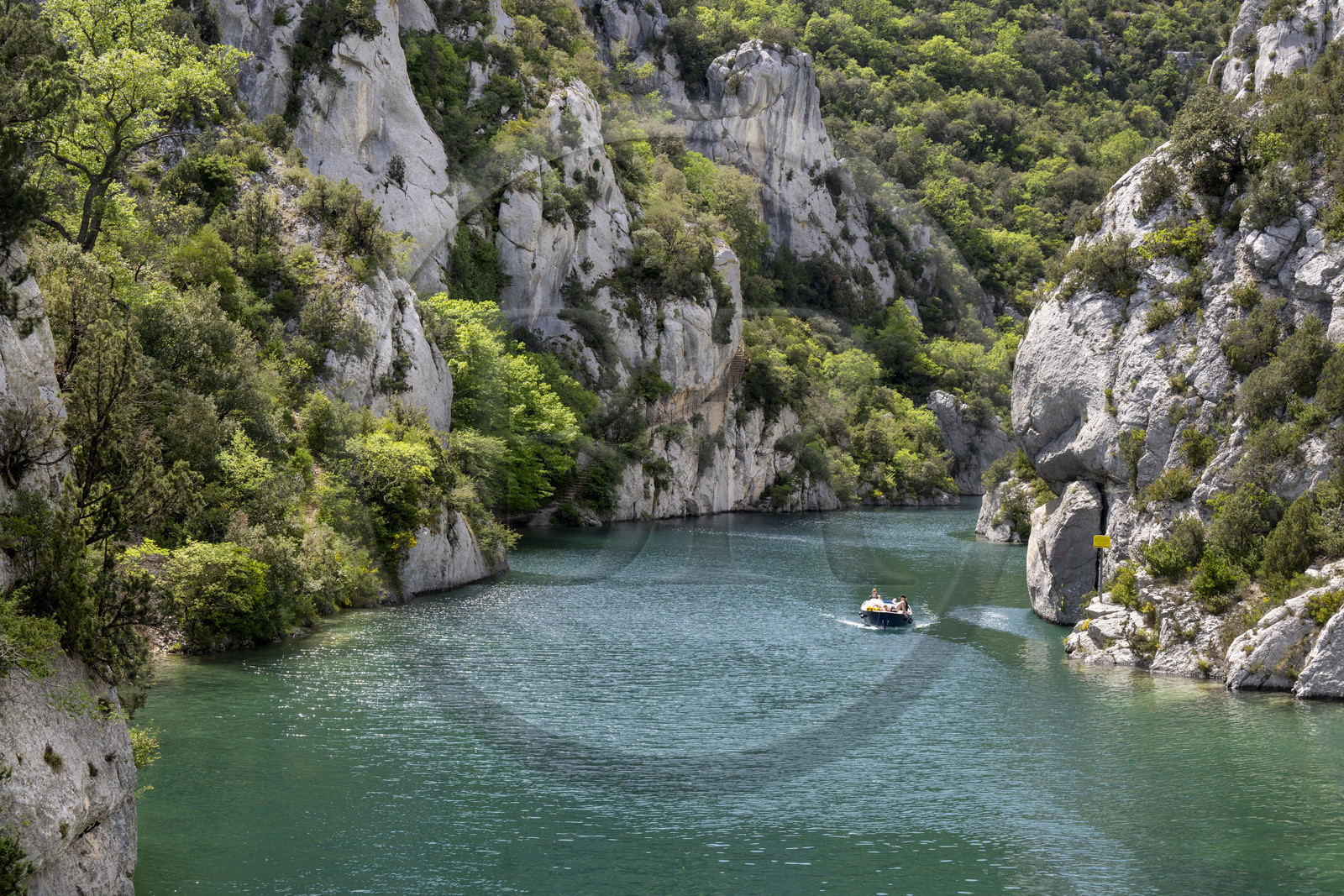 France, Alpes-de-Haute-Provence (04), Parc Naturel Régional du Verdon, Quinson, découverte en bateau électrique des Basses Gorges du Verdon en aval du lac de Sainte Croix