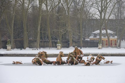 France, Yvelines (78), château de Versailles, classé Patrimoine Mondial de l'UNESCO, le bassin d'Apollon par Tuby avec le char d'Apollon