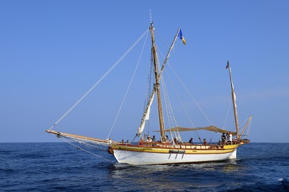 France, Alpes-Maritimes, Saint Jean Cap Ferrat, sea trip on the Santo Sospir boat with the SOS Grand Bleu association for watching dolphins and whales in the Pelagos Sanctuary