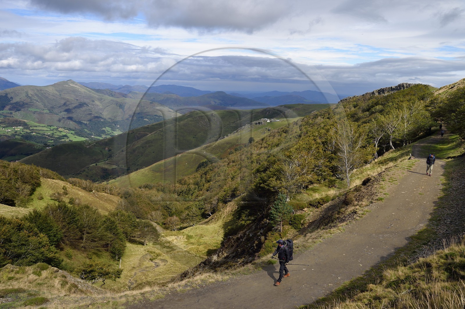 France, Pyrénées-Atlantiques (64), Pays-Basque, chemin de Saint-Jacques de Compostelle sur le GR 65 entre Saint-Jean-Pied-de-Port et Roncevaux, pèlerins sur les pentes du Leizar Atheka et la vallée de Luzaide en Navarre en arrière plan