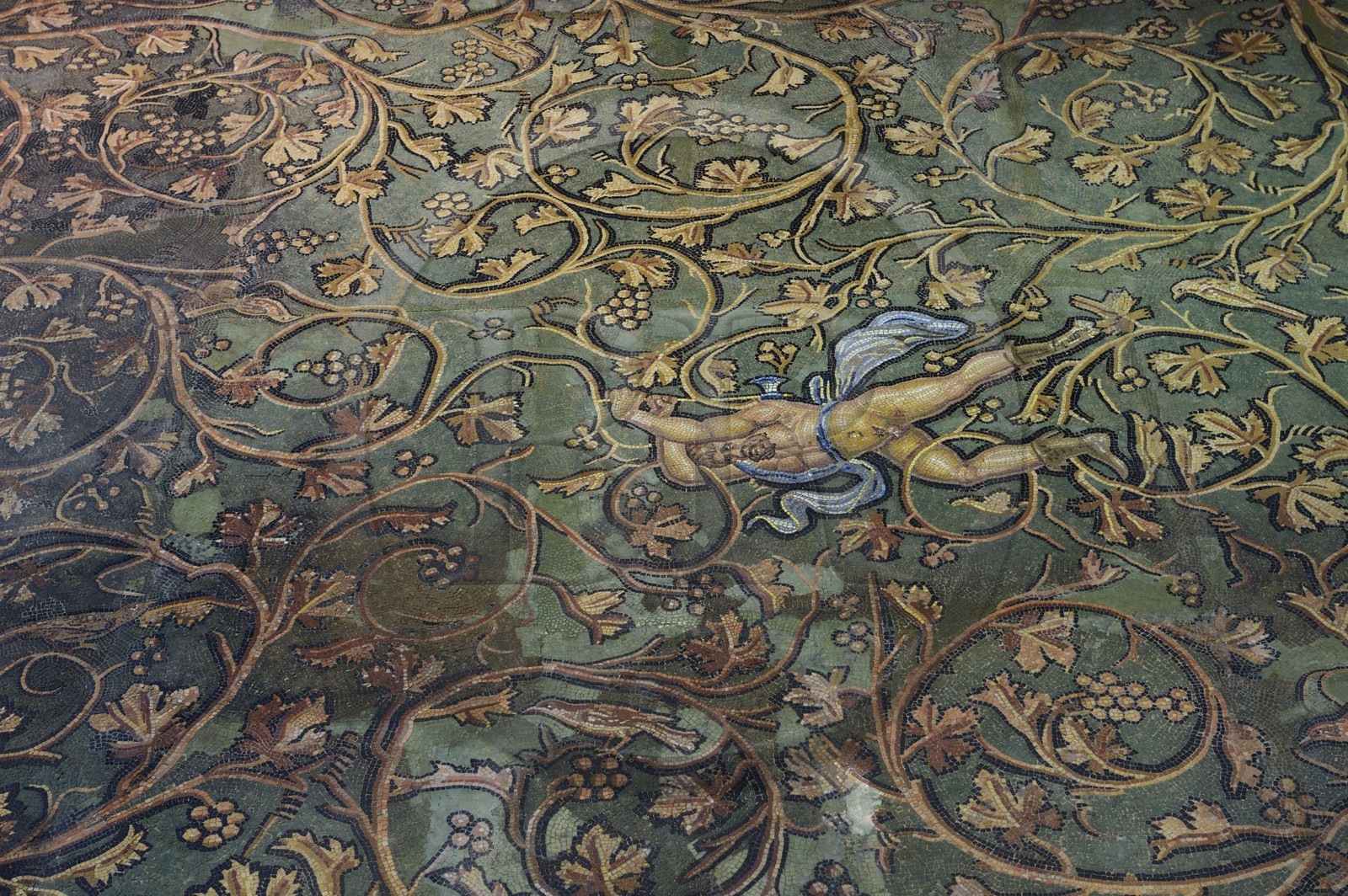 France, Rhone, Lyon, Saint Romain en Gal, Gallo-Roman Museum of Saint-Romain-en-Gal, Punishment of Lycurgus mosaic dating from the 2nd century AD