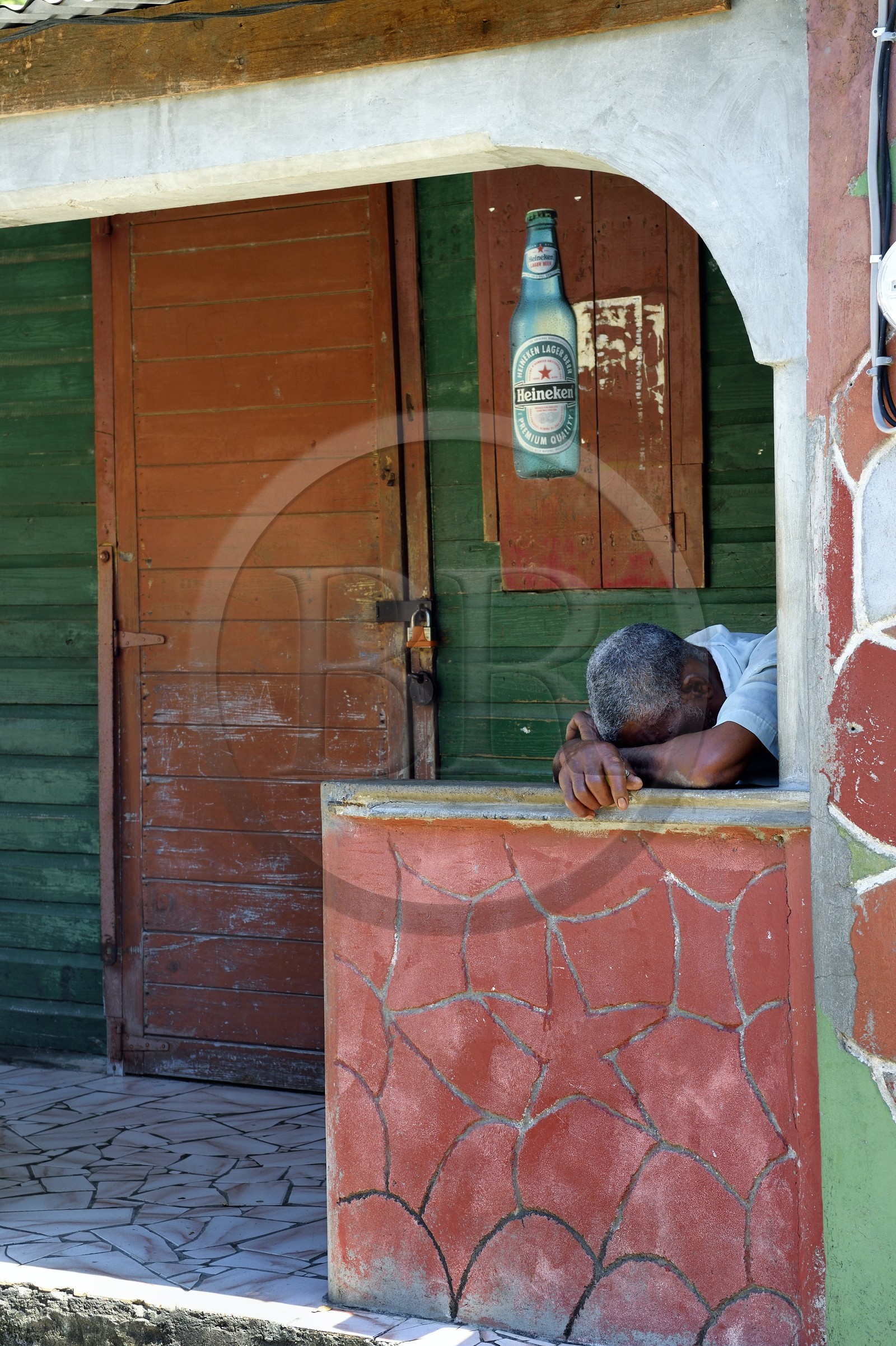 Caraïbes, Ile de la Dominique, Soufrière, dans les montagnes du sud de l'île le long du Segment 1 du Waitukubuli National Trail entre Scotts Head Village et Soufriere Estate, en passant le village de Gallion