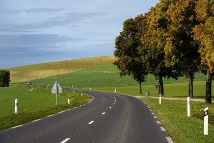 France, Meuse, region of Verdun, the secondary road D964