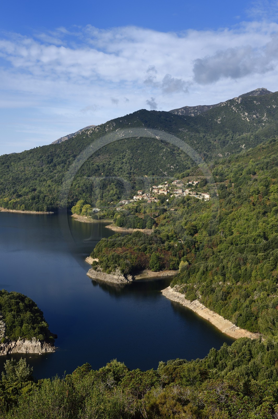 France, Corse du Sud, Prunelli river valley,  the village of Tolla at the edge of the artificial lake of Tolla from the Scalledda pass