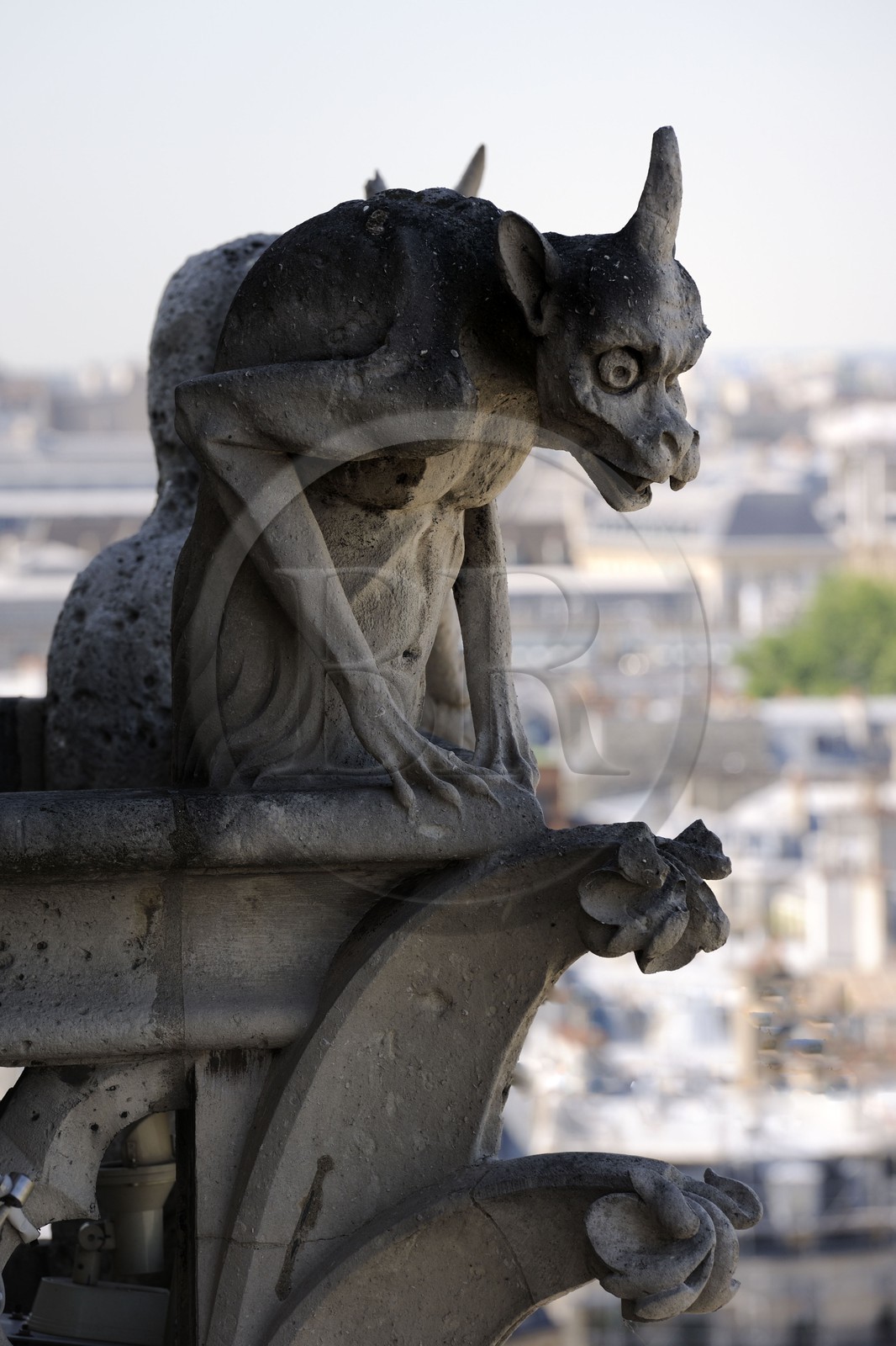France, Paris, ile de la Cite, Notre-Dame Cathedral, the chimeras observe the city