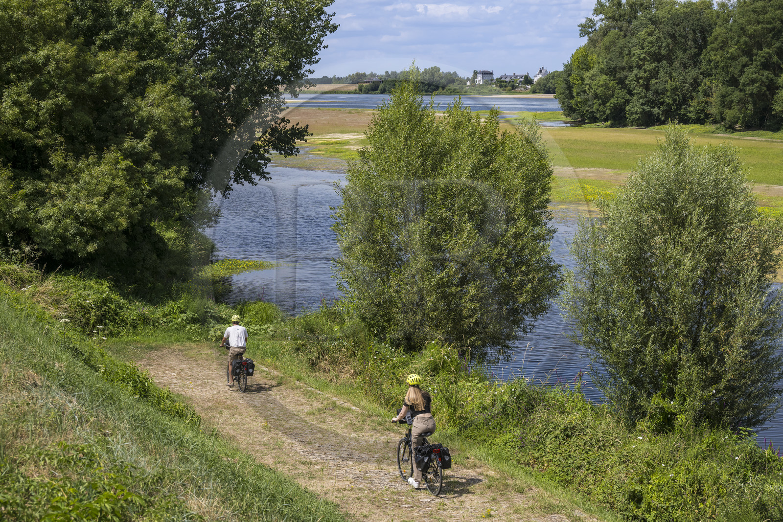France, Maine-et-Loire (49), vallée de la Loire classée au Patrimoine Mondial par l'UNESCO, Gennes-Val-de-Loire, randonnée à bicyclette sur les berges de la Loire