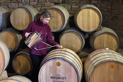 France, Pyrénées-Atlantiques (64), Pays-Basque, Saint-Jean-Pied-de-Port, Ispoure, vignoble du Domaine Mourguy, AOC Irouleguy, Florence Mourguy