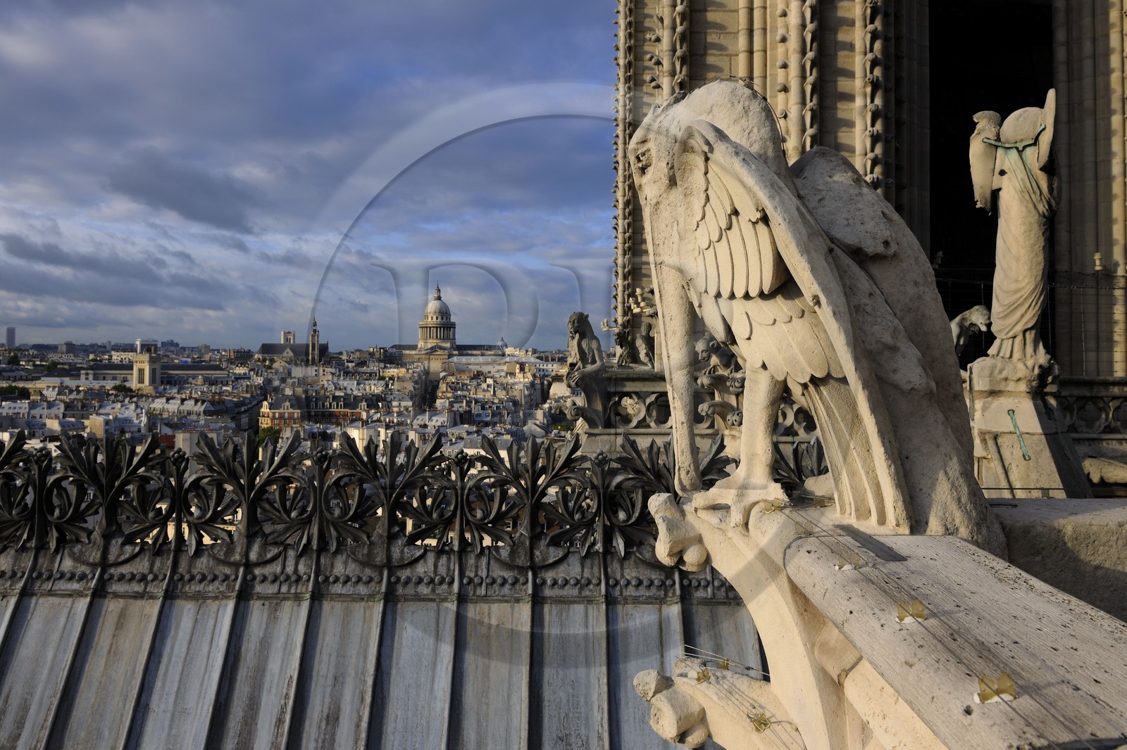 France, Paris (75), île de la Cité, la cathédrale Notre-Dame, les chimères observent la ville, le pélican mâle et le Panthéon