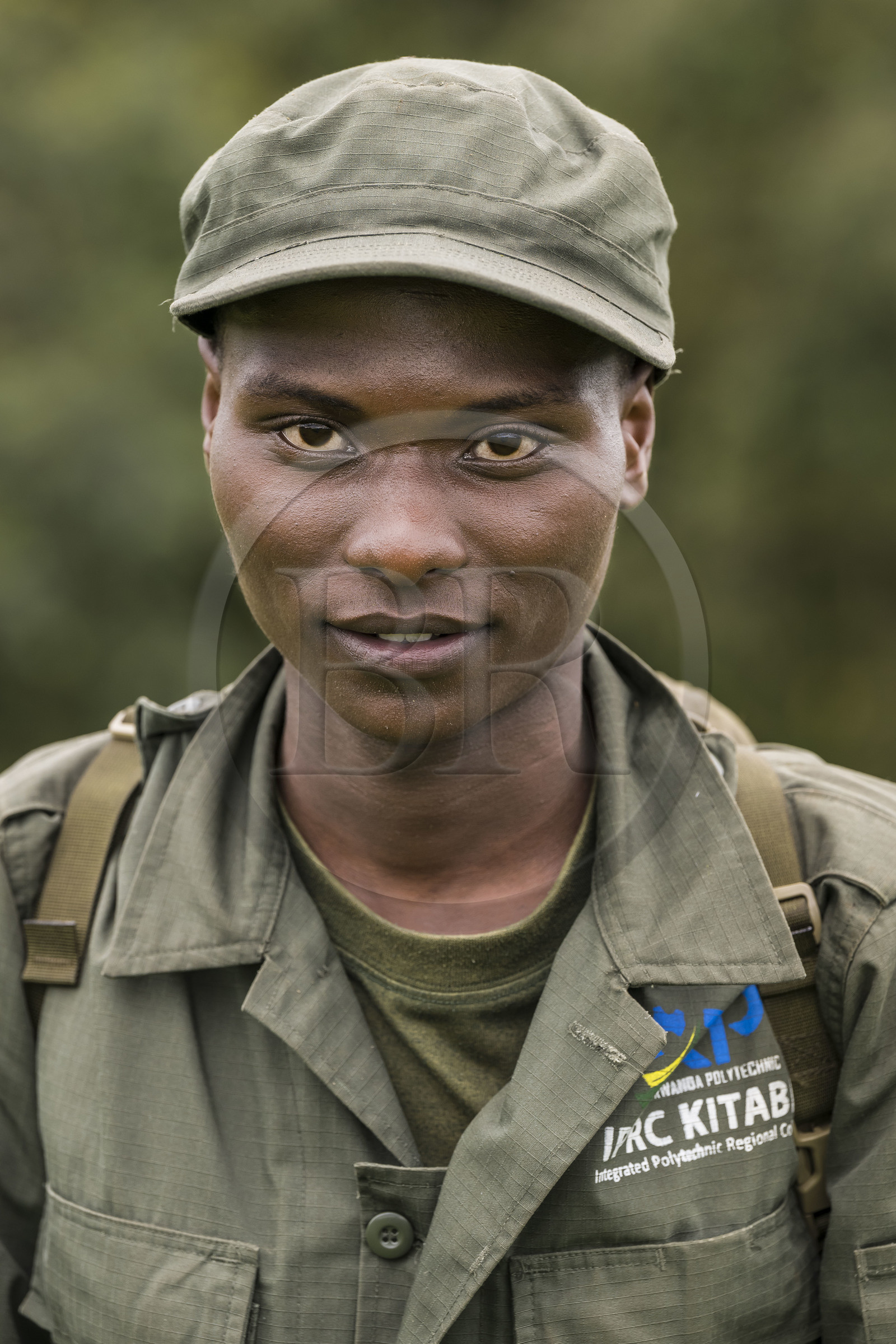 Rwanda, Province de l’Ouest, Gisakura, Parc national de Nyungwe, le pisteur Claude de African Parks dont le travail consiste à repérer les Colobes de Ruwenzori (Colobus angolensis ruwenzorii)