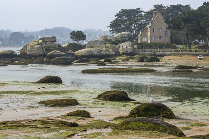 France, Cotes-d'Armor, Cote de Granit Rose, Trégastel, Renote island, the beach at low tide