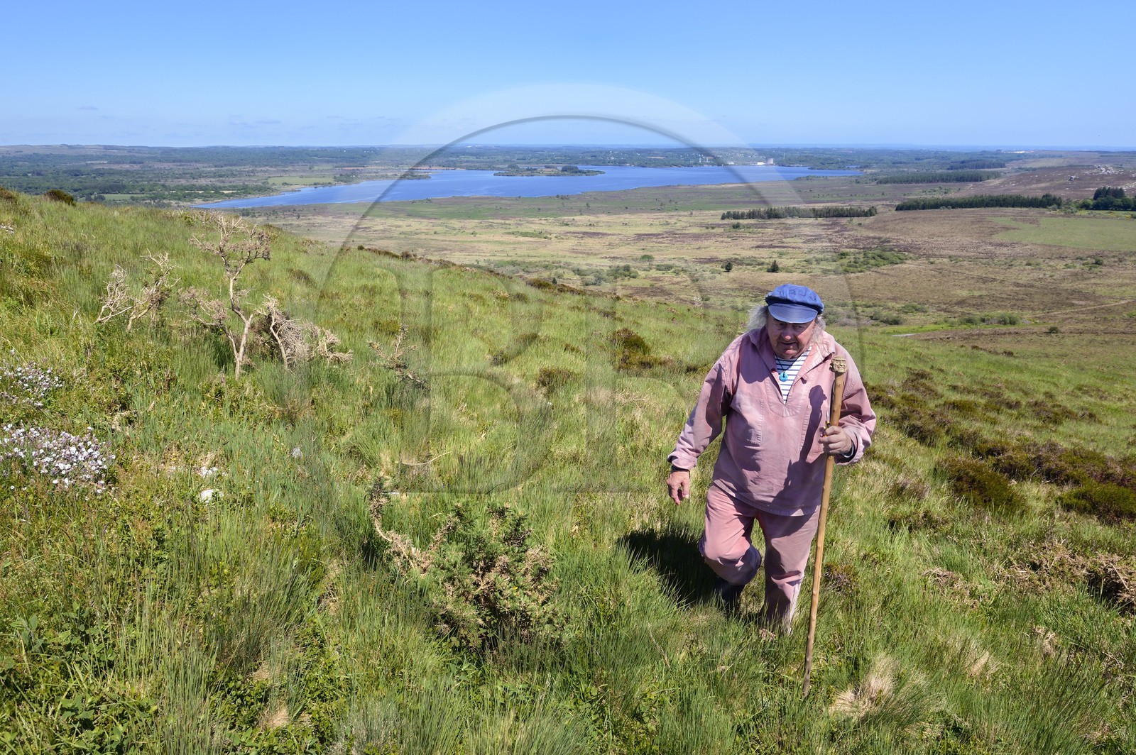 France, Finistere, Parc Naturel Regional d'Armorique (Armorica Regional Natural Park), Monts d'Arree, Brasparts, the Saint Michel mountain (Menez Mikael), the story teller Claude Le Lann in front of the Saint-Michel reservoir