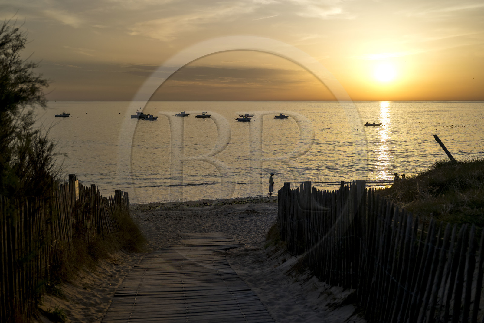 France, Charente Maritime, Oleron island, Saint Georges d'Oléron, Domino beach at sunset