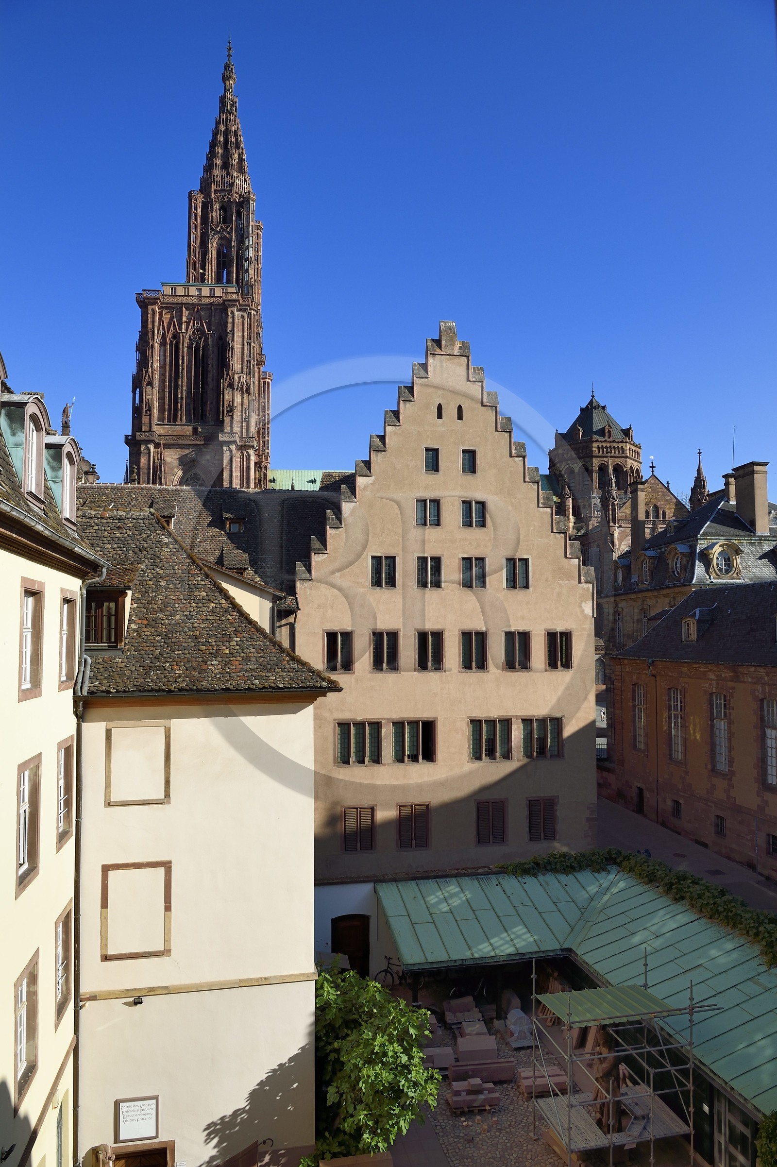 France, Bas-Rhin (67), Strasbourg, vieille ville classée au Patrimoine Mondial de l'UNESCO, la cathédrale Notre-Dame derrière les batiments de la Fondation de l'Oeuvre Notre-Dame avec un pignons crénelés à pas  de  moineaux
