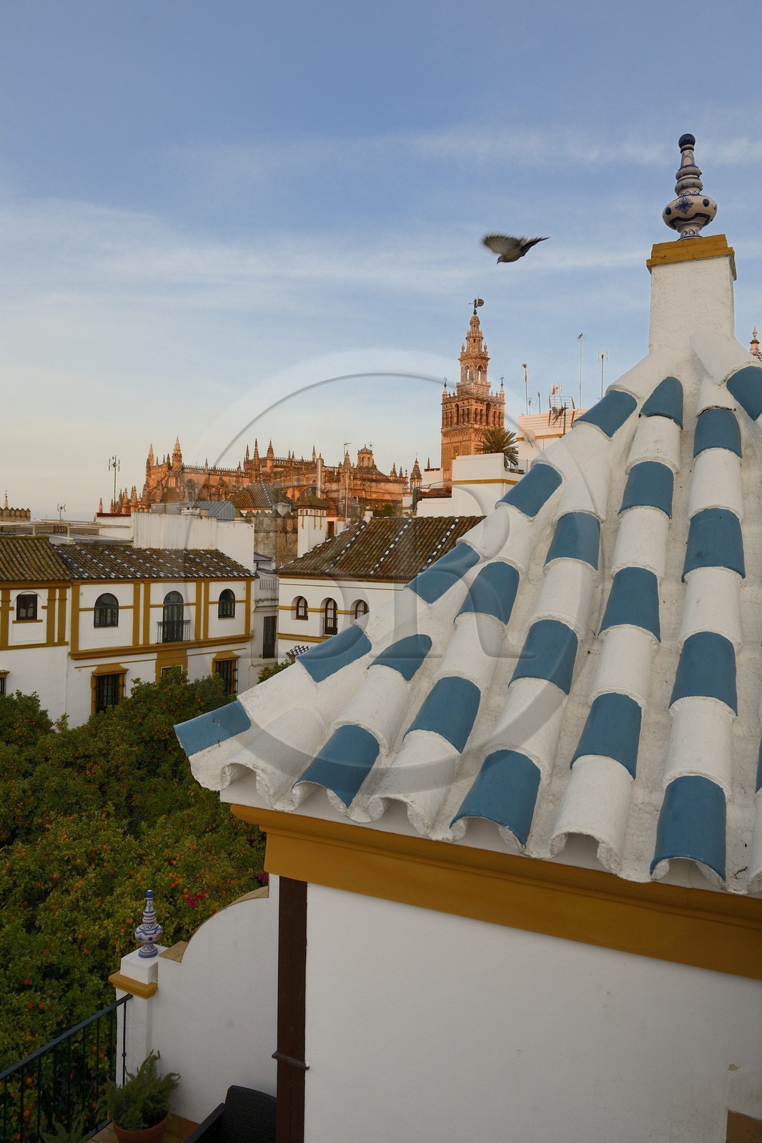 Spain, Andalusia, Seville, Santa Cruz district, plaza de Dona Elvira and the Giralda in the background