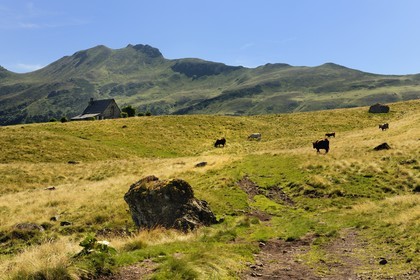 France, Cantal (15), monts du Cantal, Parc Naturel Régional des Volcans d' Auvergne, le buron d' Eylac et la montagne du Puy-Mary (1783m)