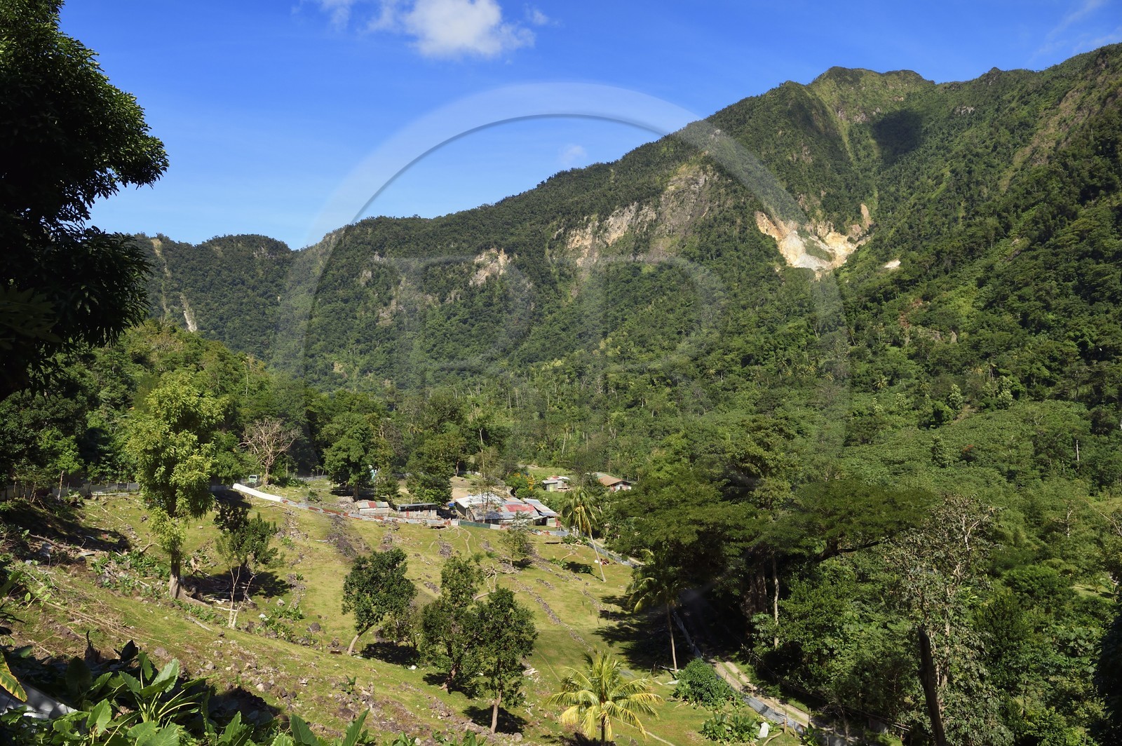Caraïbes, Ile de la Dominique, Soufrière, dans les montagnes du sud de l'île le long du Segment 1 du Waitukubuli National Trail entre Scotts Head Village et Soufriere Estate