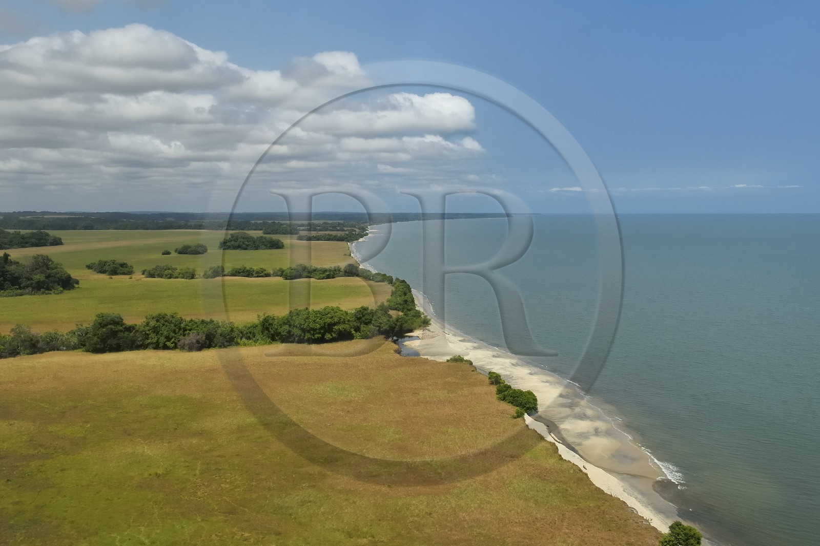 Gabon, Province de Ogooué-Maritime, Parc National Wonga Wongue, savanne dans la la zone littorale  (vue aérienne)