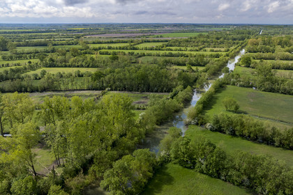 France, Vendée (85), Parc Interrégional du Marais Poitevin labellisé Grand Site de France, Maillezais, parcelles de terres entrecoupées par les affluents de l'Autise (vue aérienne)