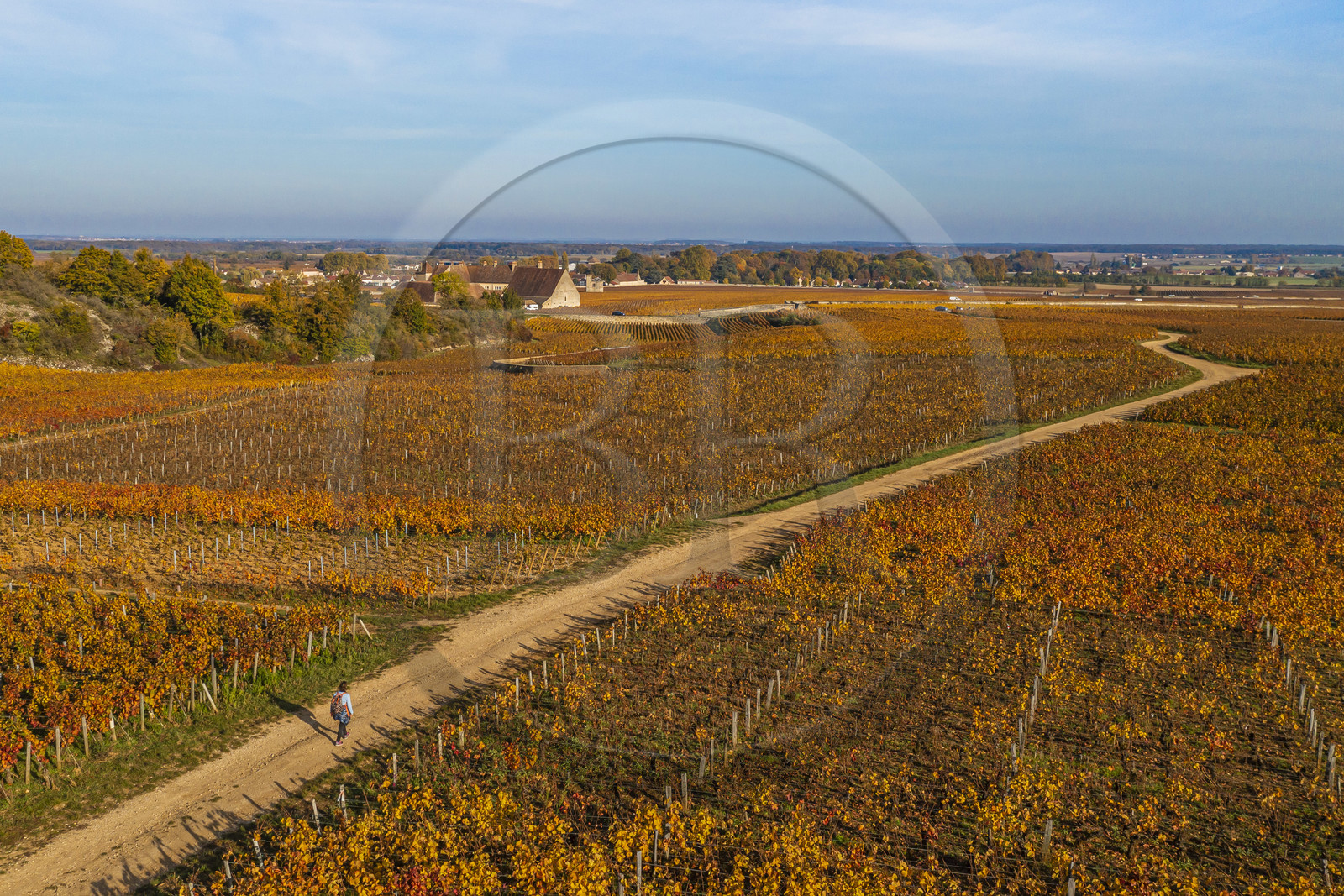 France, Cote d'Or, cultural Landscape of the climates of Burgundy listed as World Heritage by UNESCO, Vougeot, Route des Grands Crus (road of Vintage Wines), the vineyard and the Chateau du Clos de Vougeot (aerial view)
