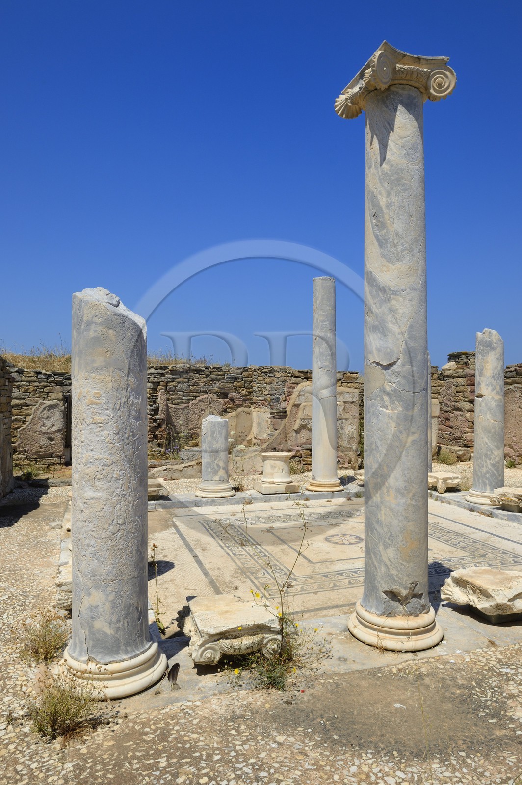 Greece, Cyclades islands, Delos, listed as World Heritage by UNESCO, the archaeological site of Delos, Apollo's Sanctuary, the most ancient city of the Aegean Sea, the lake house
