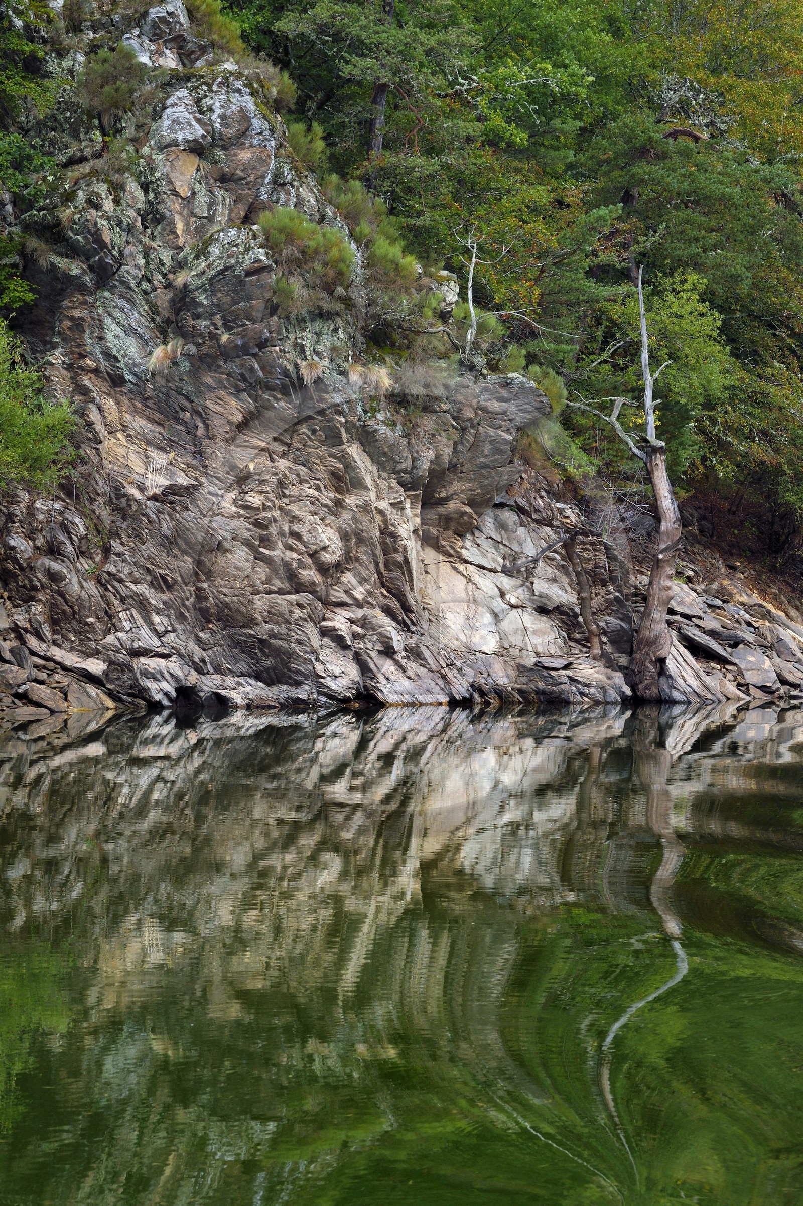 France, Cantal (15), Gorges de la Truyère, Chaliers, la rivière Truyère en amont du viaduc de Garabit