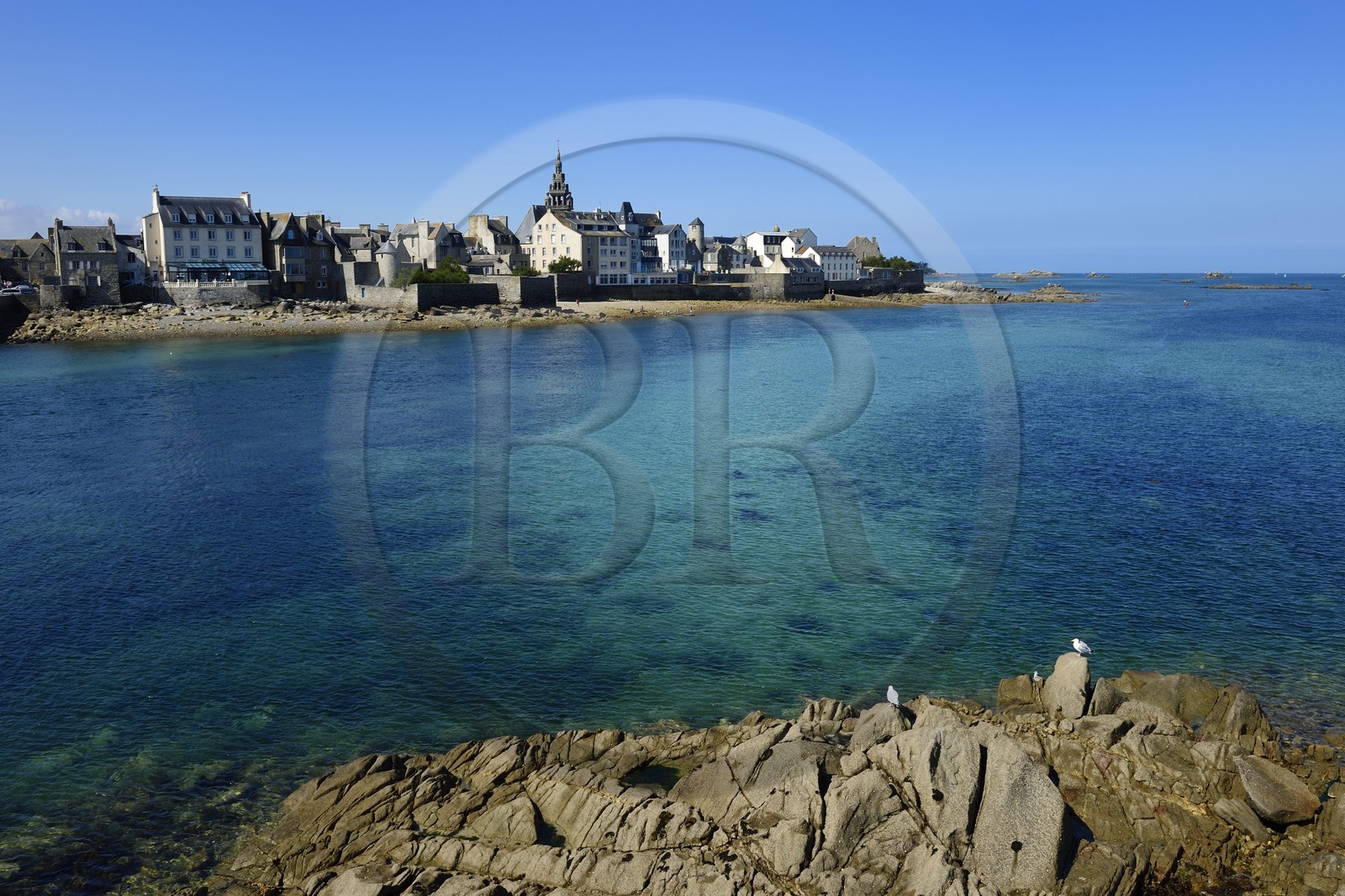 France, Finistère (29), Roscoff