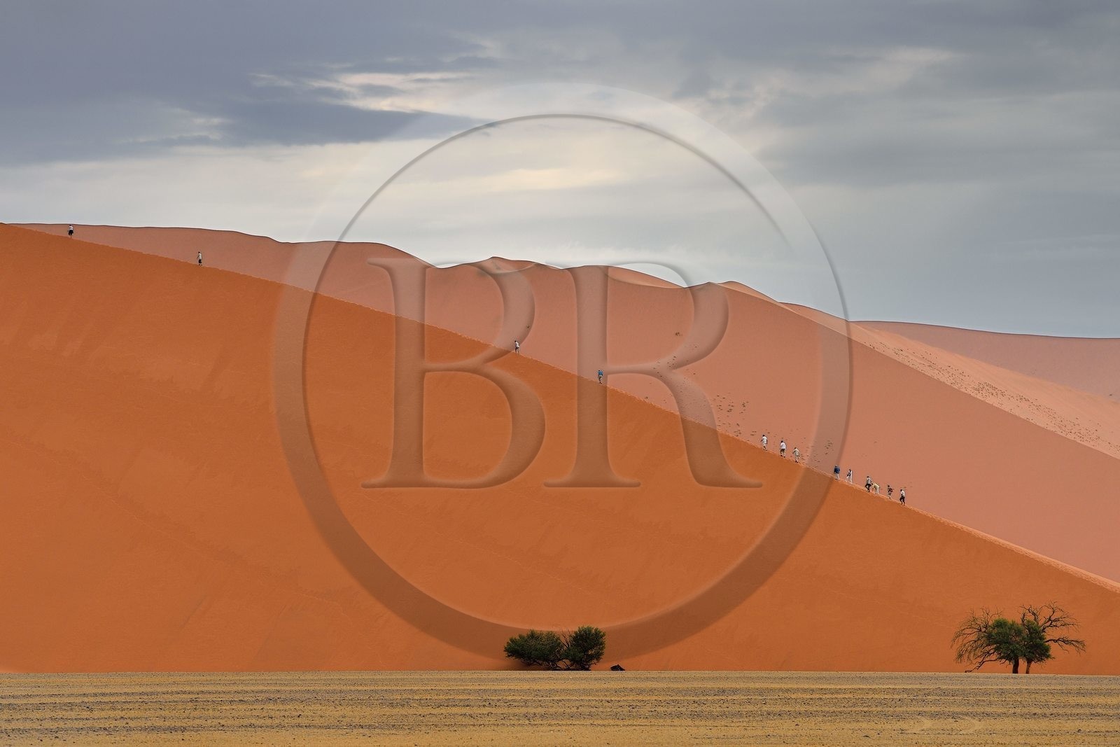 Namibie, région d'Hardap, désert du Namib, parc national du Namib-Naukluft, Erg du Namib classé Patrimoine Mondial de l'UNESCO, dunes de Sossusvlei, randonneurs sur la dune 45