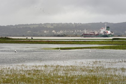 France, Seine-Maritime (76), Réserve Naturelle de l'estuaire de la Seine, cargo remontant la Seine vers Rouen