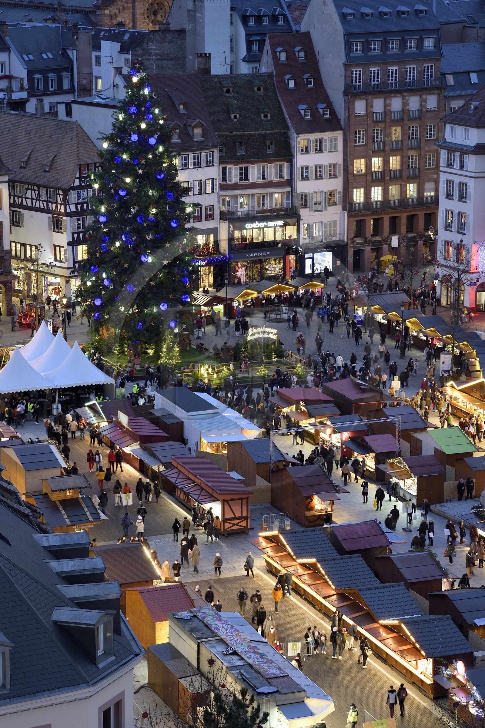France, Bas-Rhin (67), Strasbourg, vieille ville classée au Patrimoine Mondial de l’UNESCO, le Grand Sapin de Noël sur la place Kléber