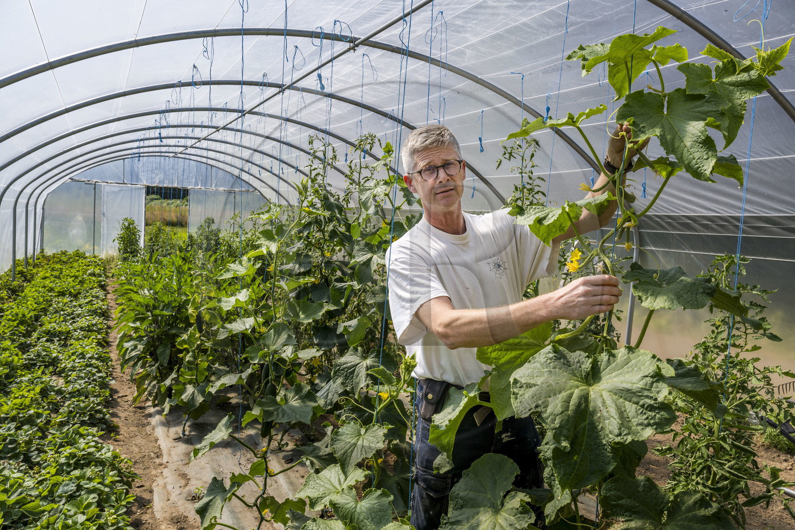 France, Ille-et-Vilaine (35), Saint-Méloir-des-Ondes, malouinière de la Bardoulais, son propriétaire Erwan Le Gouellec