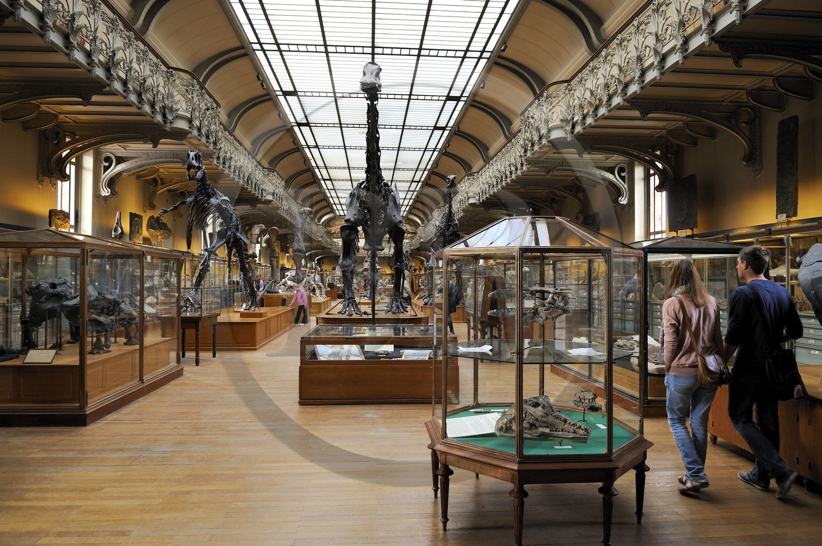 France, Paris (75), Jardin des Plantes, Museum National d'Histoire Naturelle, Galeries de Paléontologie et d'Anatomie comparée
