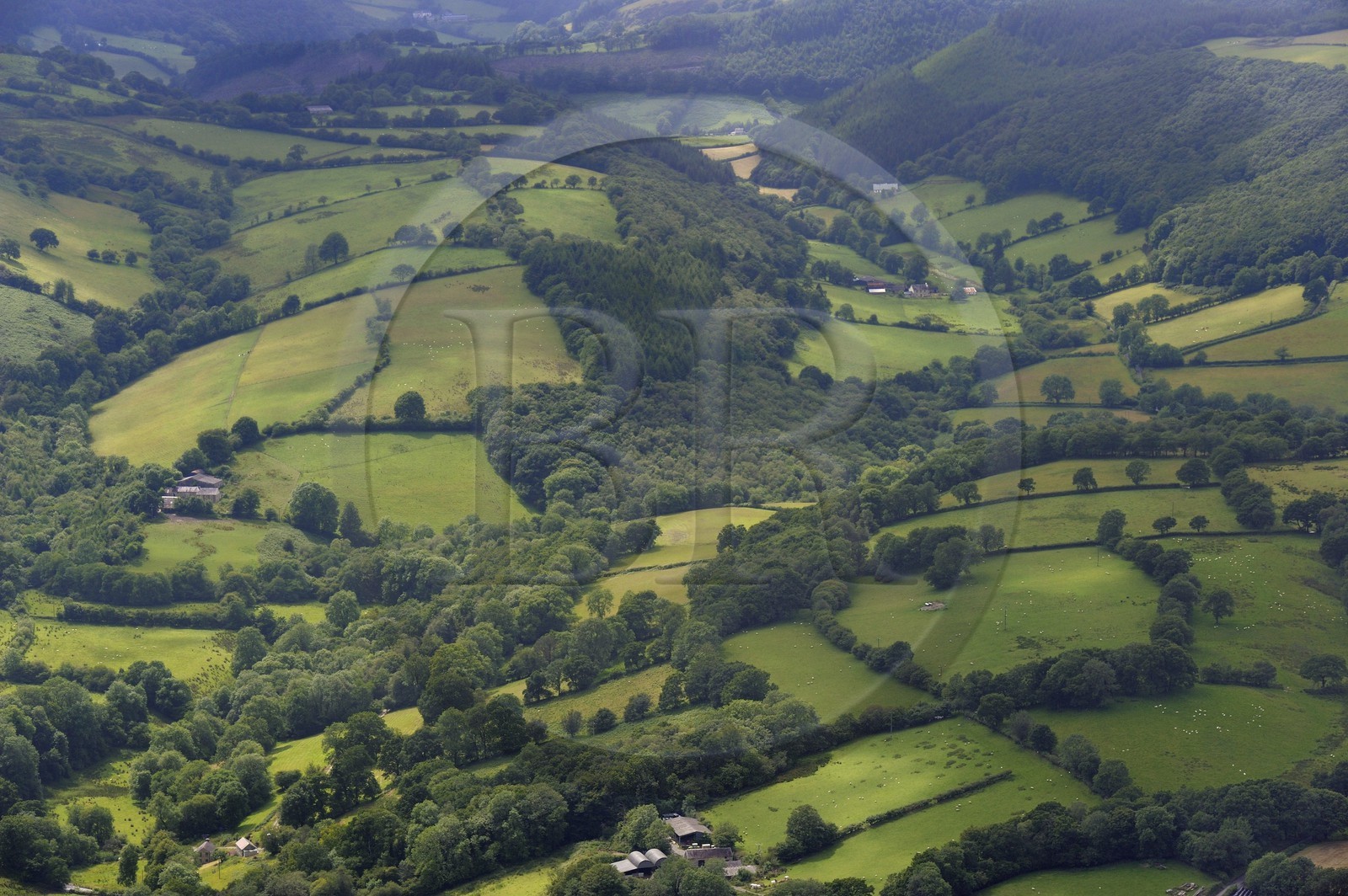 Royaume-Uni, Angleterre, Pays de Galles, forêt et champs dans la region de Brechfa dans le Carmarthenshire (vue aérienne)
