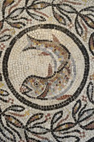 France, Rhone, Lyon, historical site listed as World Heritage by UNESCO, colline de Fourviere, Gallo-Roman Museum of Fourvière, Choulans mosaic