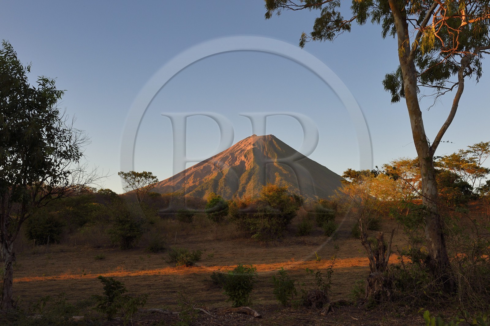 Nicaragua, Ile d'Ometepe sur le lac Nicaragua, le volcan Conception (1610 m) toujours en activité