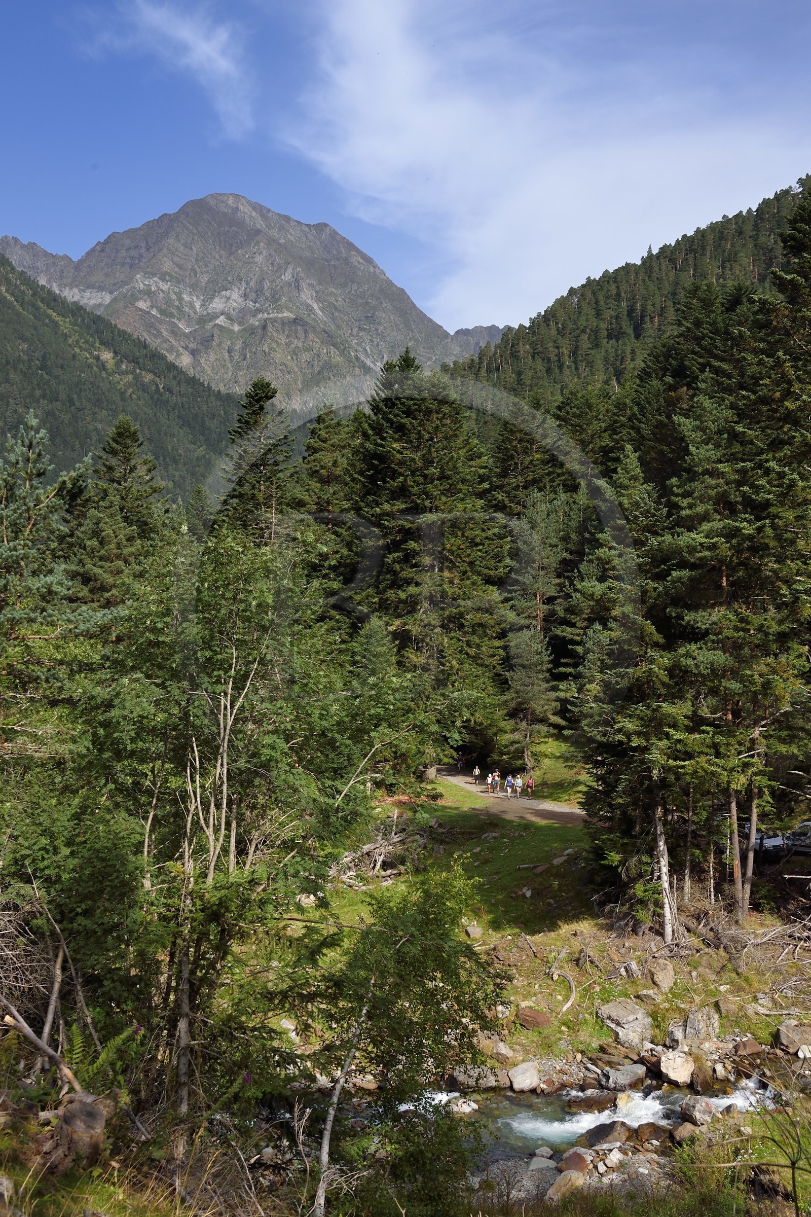 France, Hautes-Pyrénées (65), Saint-Lary-Soulan, randonneurs dans la vallée du Rioumajou