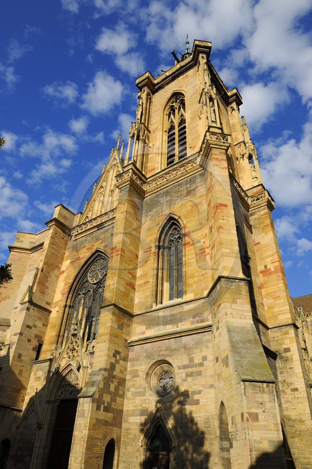 France, Haut-Rhin (68), Colmar, cathédrale collégiale Saint-Martin