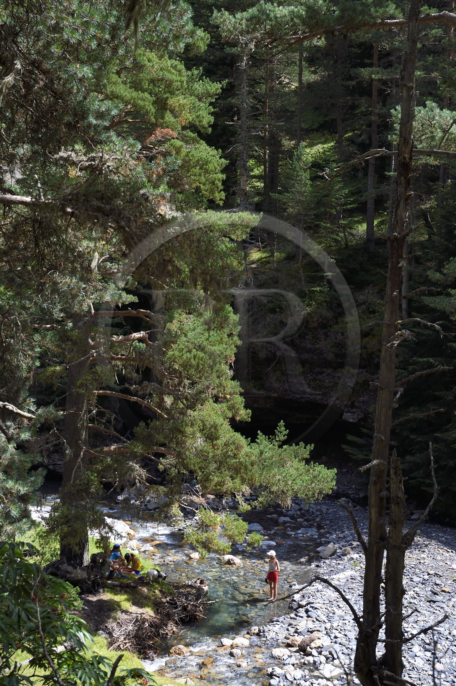 France, Hautes-Pyrénées (65), Saint-Lary-Soulan, vallée du Rioumajou, la (rivière) Neste de Rioumajou