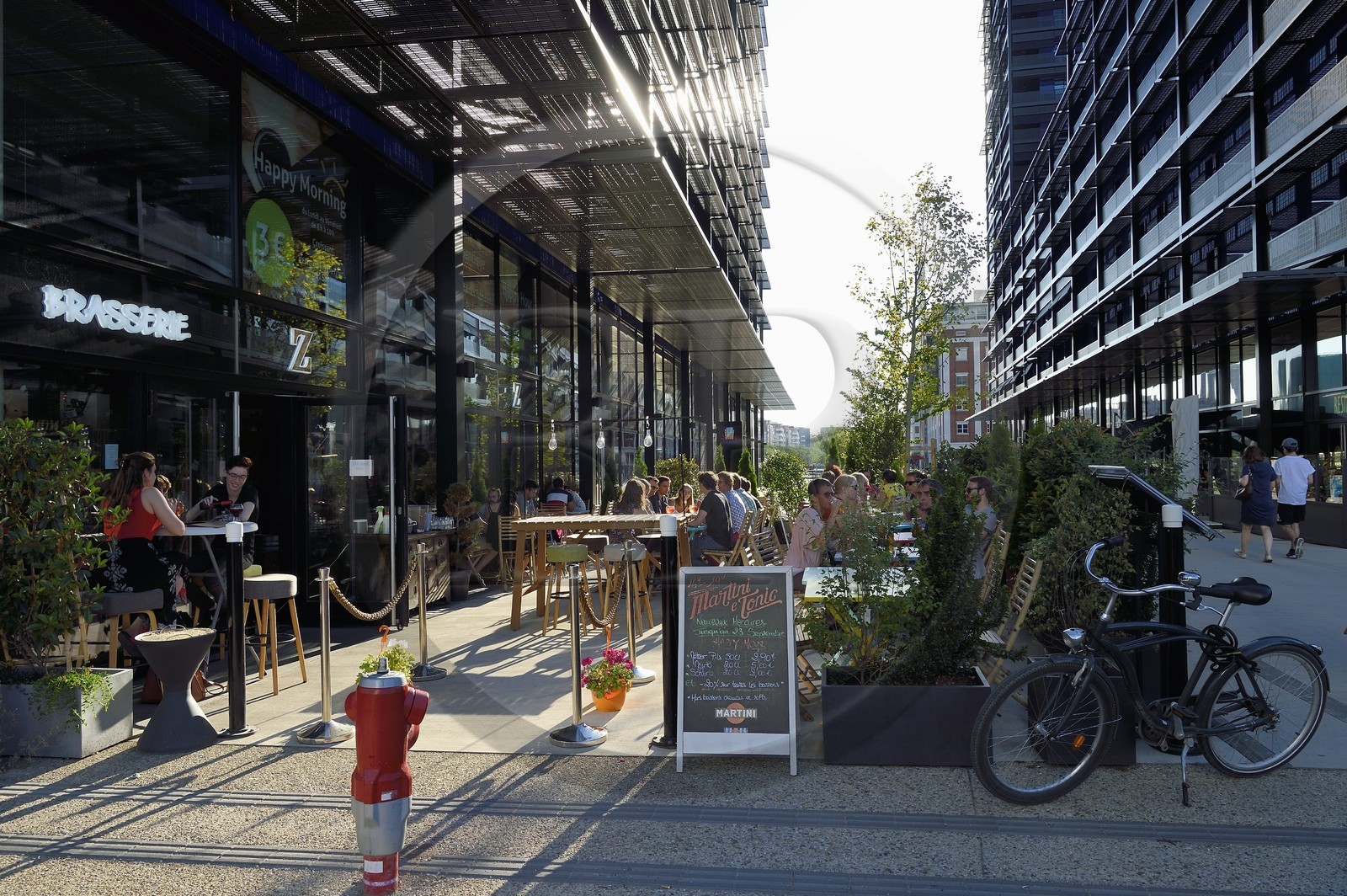 France, Bas-Rhin (67), Strasbourg, amenagement du port du Rhin et reconversion du mole du Bassin d'Austerlitz, presqu'ile Malraux, immeubles les Black Swans par l’architecte Anne Demians