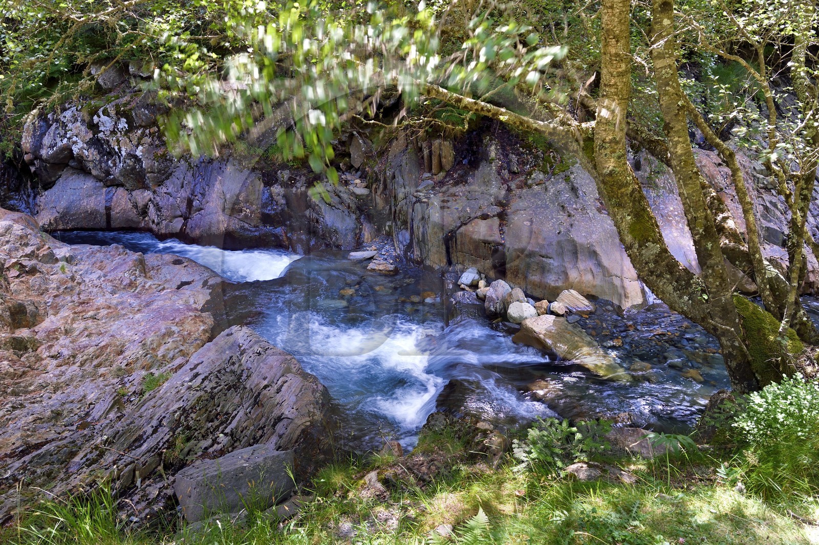 France, Hautes Pyrenees, Saint Lary Soulan, Rioumajou valley, the river Neste de Rioumajou