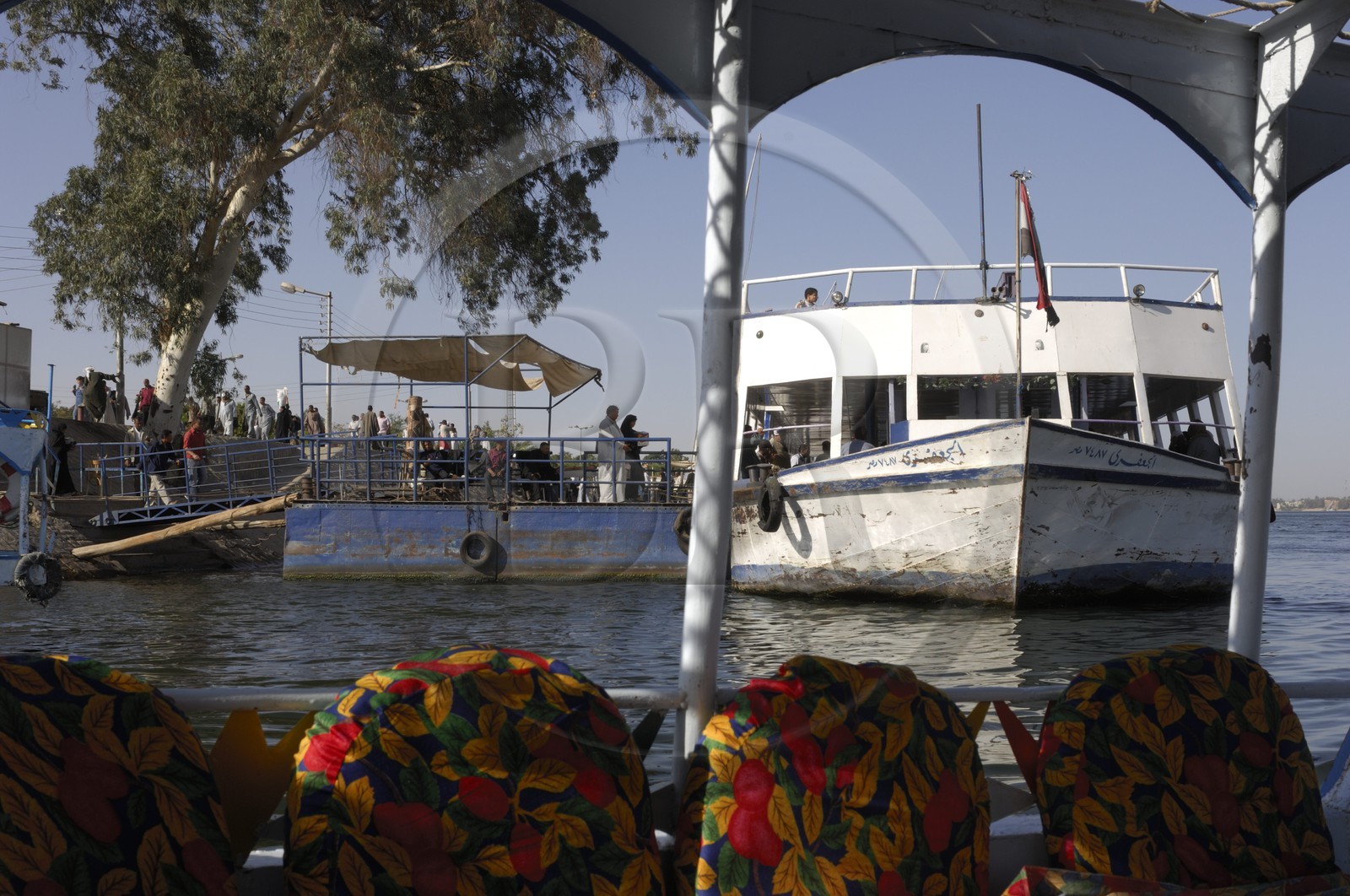 Egypte, Haute Egypte, vallée du Nil, Louxor, le Nil et la rive ouest, ferry reliant les deux rives du Nil