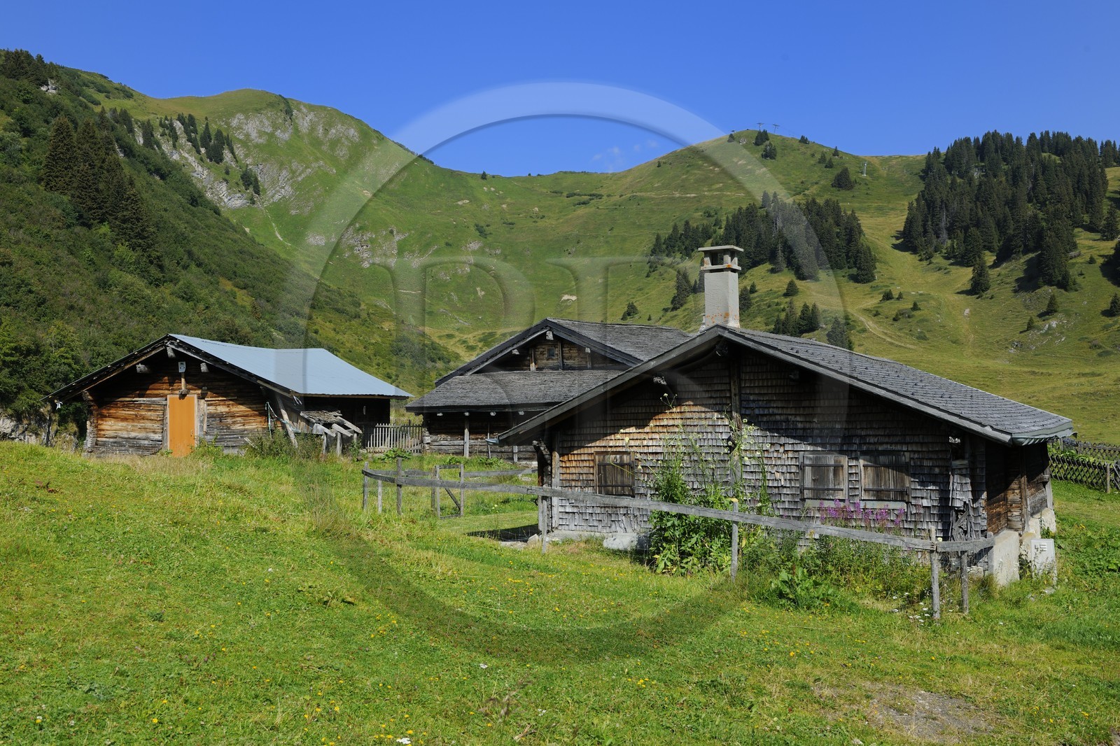 Suisse, Canton de Vaud, Villars sur Ollon, hameau de Bretaye