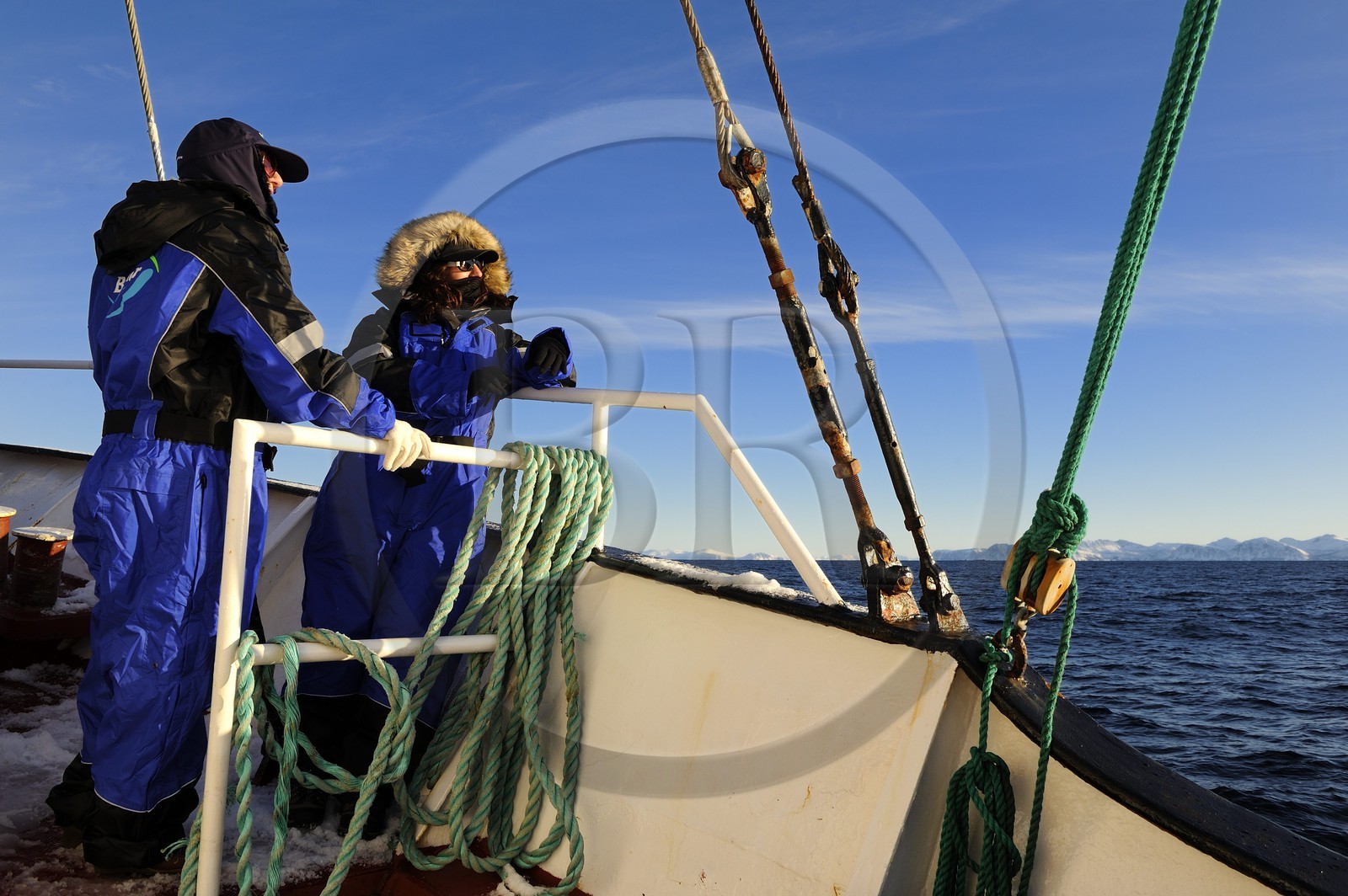 Norvège, Nordland, iles des Westeralen, région de Myre, le bateau Leonora pour l'observation des baleines