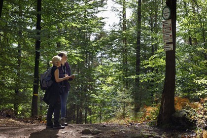 France, Bas-Rhin (67), Parc naturel régional des Vosges du Nord, Obersteinbach, foret domaniale de Steinbach, randonneuses sur le chemin des ruines du fortin de Wittschloessel