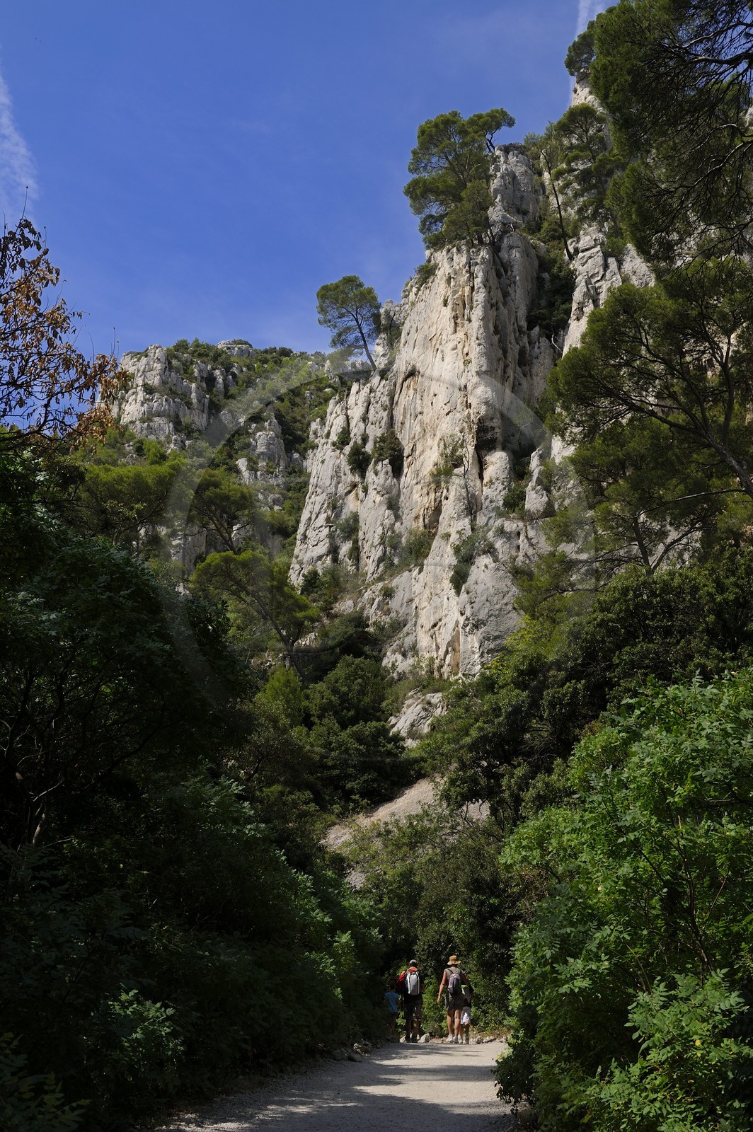 France, Bouches-du-Rhône (13), Cassis, le sentier menant à la calanque d'en Vau