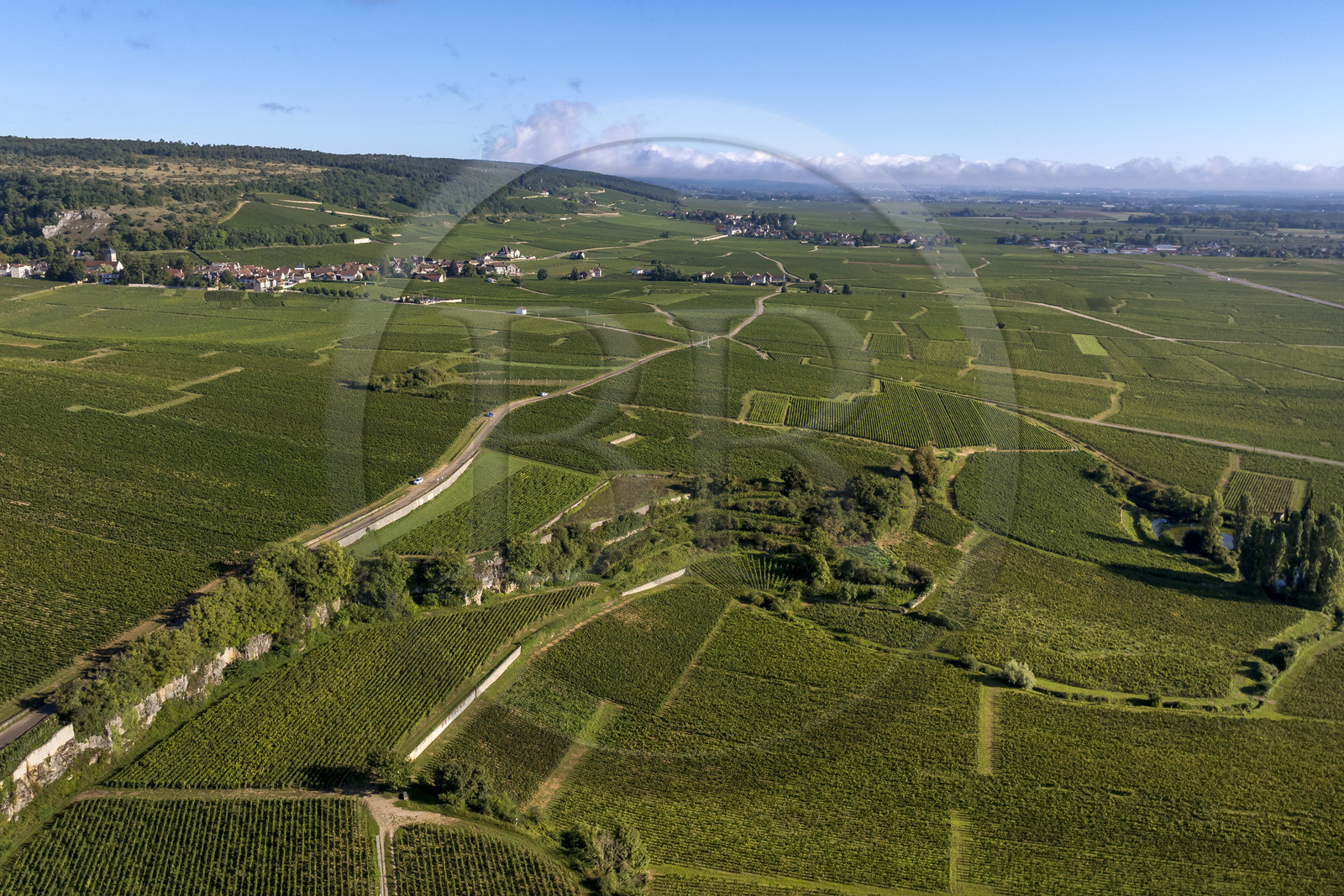 France, Côte-d'Or (21), Paysage culturel des climats de Bourgogne classés Patrimoine Mondial de l'UNESCO, Route des Grands Crus, vignoble de la Côte de Nuits à Vougeot, le village de Chambolle-Musigny sur la gauche et de Morey-Saint-Denis sur la droite en arrière plan