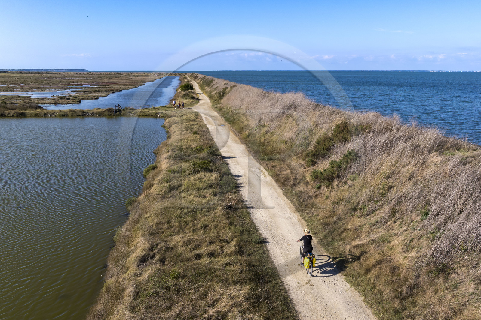 France, Vendee, Noirmoutier island, Barbatre, cyclists on the east coast seawall in the Sebastopol Polder Nature Reserve (aerial view)