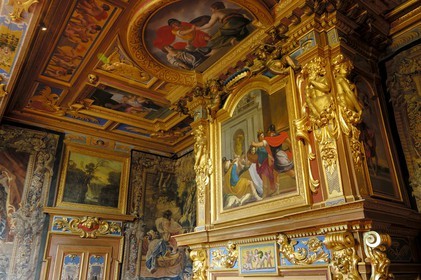 France, Loir-et-Cher (41), château de Cheverny