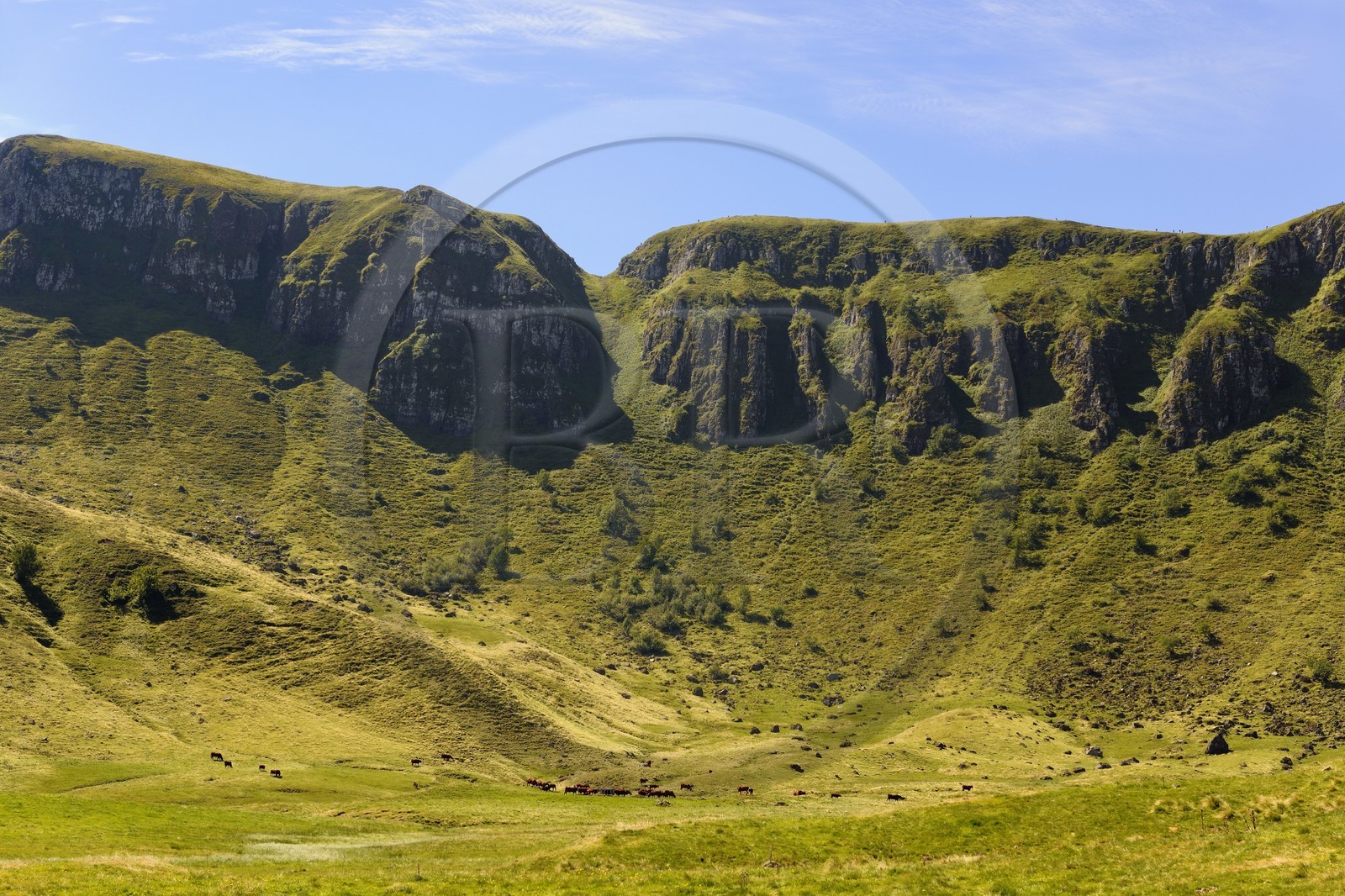 France, Cantal (15), monts du Cantal, Parc Naturel Régional des Volcans d' Auvergne, Puy-Mary, troupeau de vaches Salers au pied de la montagne des Fours de Peyre Arse coupés par la brèche de Roland
